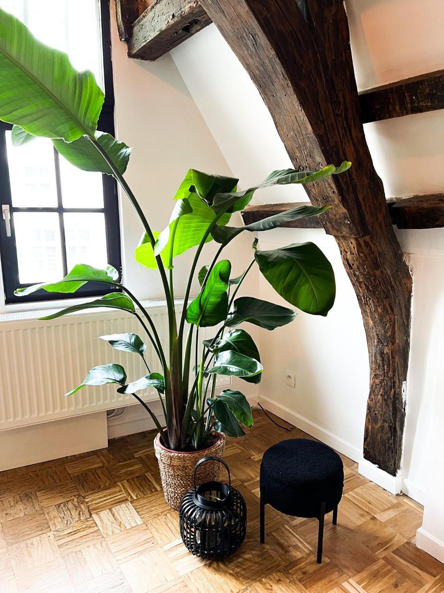 Nammos Home'S Antwerp Exterior photo